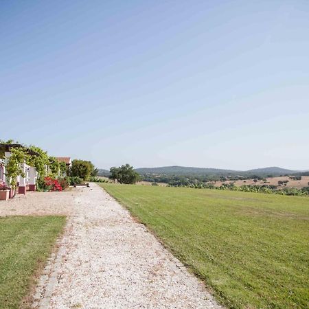 Villa Stunning Mansion In Sao Cristovao Montemor-o-Novo Esterno foto